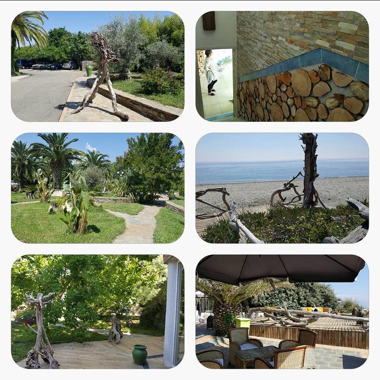 Levolle Marine Hotel Poggio Mezzana Luaran gambar